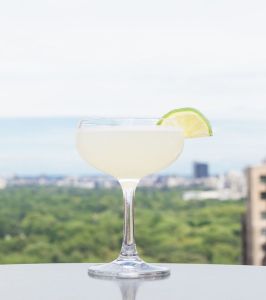 gallery-1439914805-vodka-drinks-gimlet